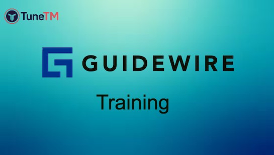 Guidewire Training